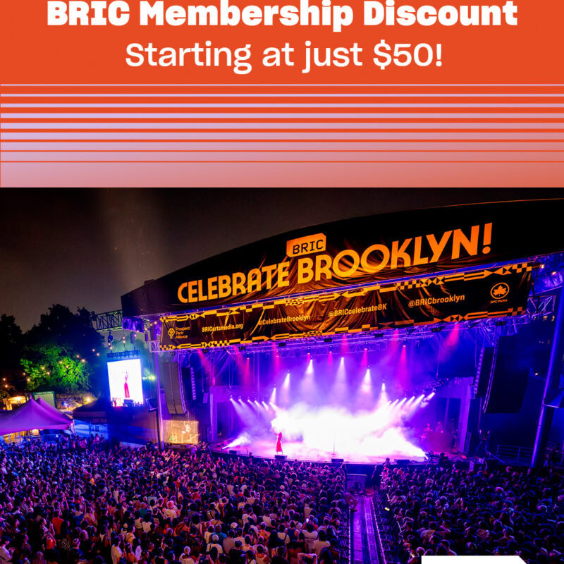https://bricartsmedia.org/wp-content/uploads/2023/09/BRIC_Membership_Discount_4_5.jpg