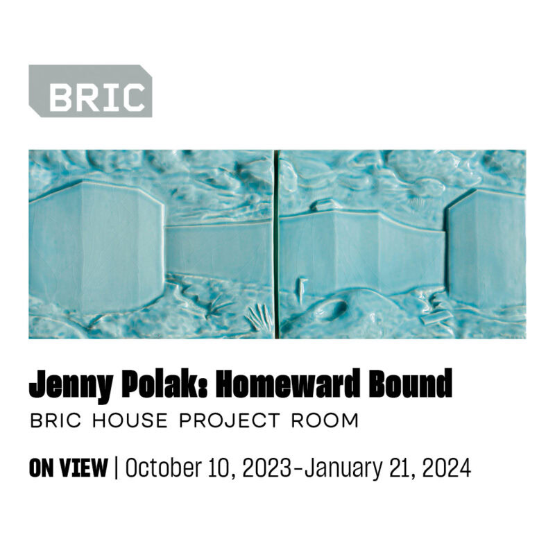 https://bricartsmedia.org/wp-content/uploads/2023/09/Jenny_Polak_Square_V4.jpg