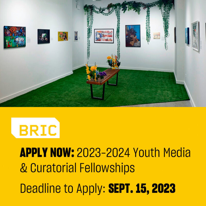 https://bricartsmedia.org/wp-content/uploads/2023/09/Youth_Media_Curatorial_Fellowship_Announcement_Square2.jpg