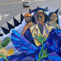 BRIC Youth Take-over: Youth Media & Curatorial Fellowships + Opening Reception