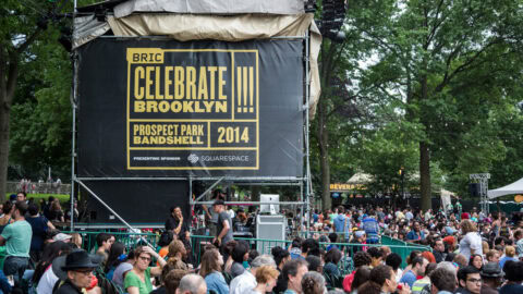 https://bricartsmedia.org/wp-content/uploads/2024/02/2014_06_04_Celebrate_Brooklyn_105.jpg