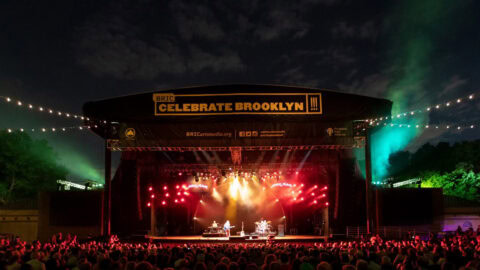 https://bricartsmedia.org/wp-content/uploads/2024/02/2018_06_21_CelebrateBrooklyn_105.jpg