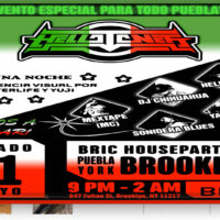 https://bricartsmedia.org/wp-content/uploads/2024/05/BRIC-House-Party-Visuals-Afterlife-Yuji.jpg