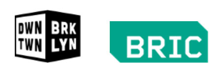 Diverse group of artists performing during BRIC arts festival, showcasing contemporary culture and creative talent.