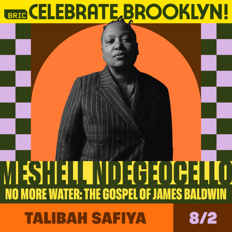 https://bricartsmedia.org/wp-content/uploads/2025/02/13-BCB24_Artist_Social__Cards_Square_Meshell.jpg