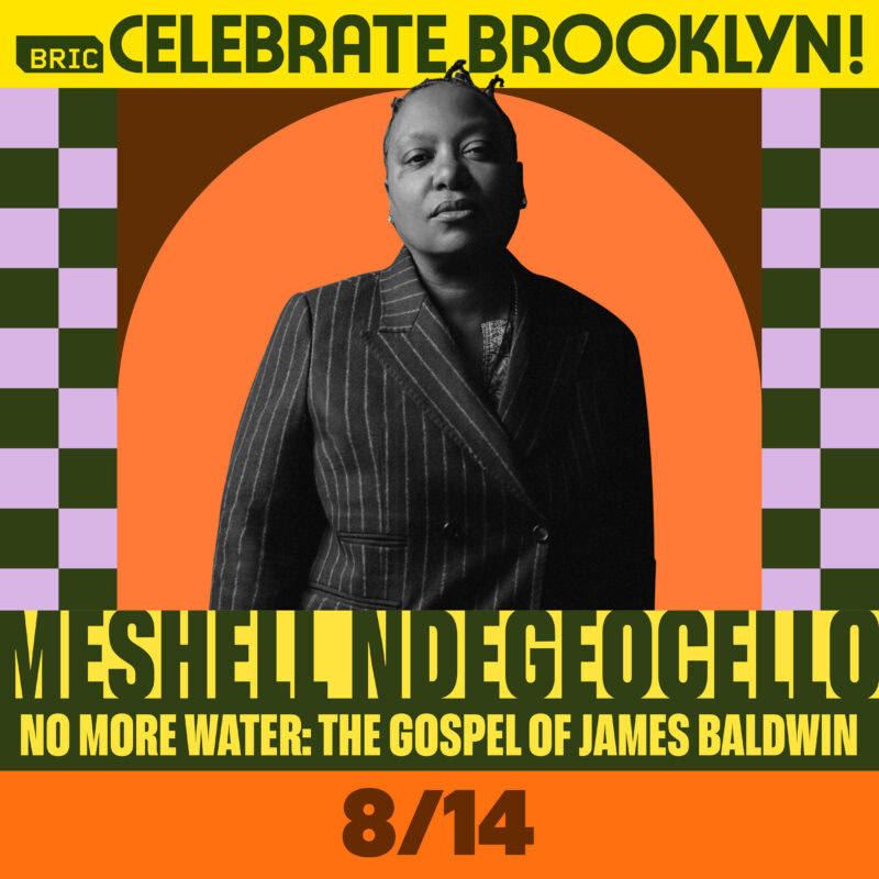 https://bricartsmedia.org/wp-content/uploads/2025/02/BCB24_Artist_Social__Cards_Square-Meshell-Ndegeocello-Rev2-scaled.jpg