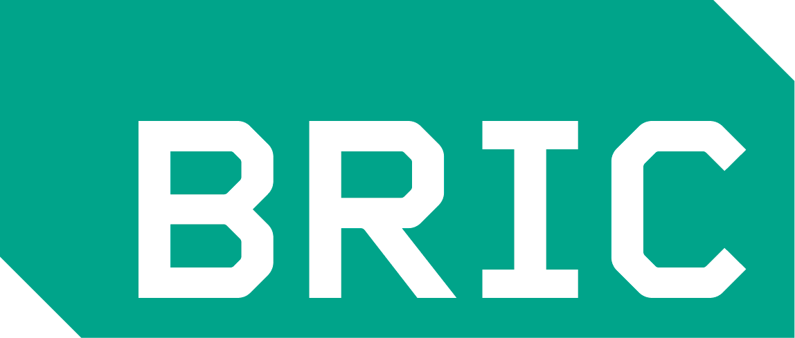 https://bricartsmedia.org/wp-content/uploads/2025/02/BRIC_logo_teal.png