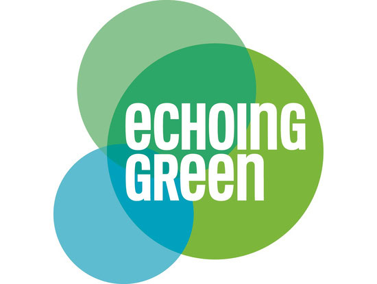 https://bricartsmedia.org/wp-content/uploads/2025/03/Echoing-Green-logo.jpg