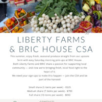 https://bricartsmedia.org/wp-content/uploads/2025/06/CSA-FLYER-1.jpg