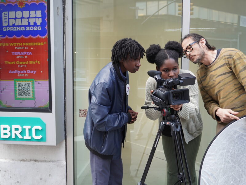 https://bricartsmedia.org/wp-content/uploads/2026/05/DSC00914-scaled.jpg