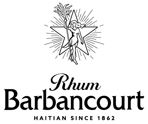 https://bricartsmedia.org/wp-content/uploads/2026/07/R_BARBANCOURT_LOGO_ANG_RVB_DECLINAISON_72dpi-07.png