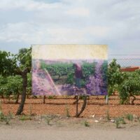 On display | From the BRIClab + Johan Orellana: Remnants of a Forking Path